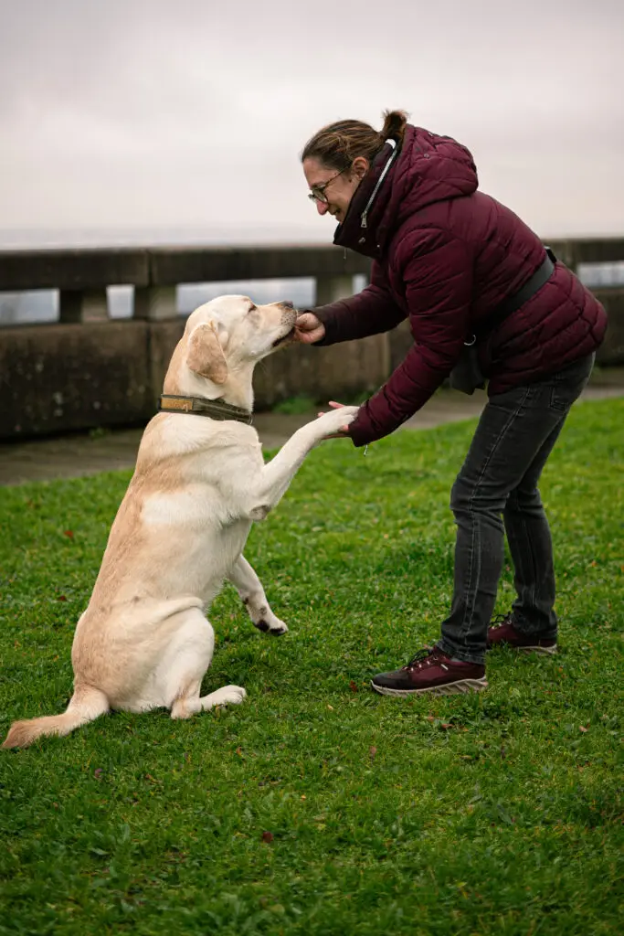 Séance d'éducation et nutrition à Lyon avec Chiens en Herbe.