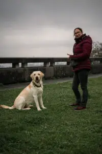 Séance d'éducation et nutrition à Lyon avec Chiens en Herbe.
