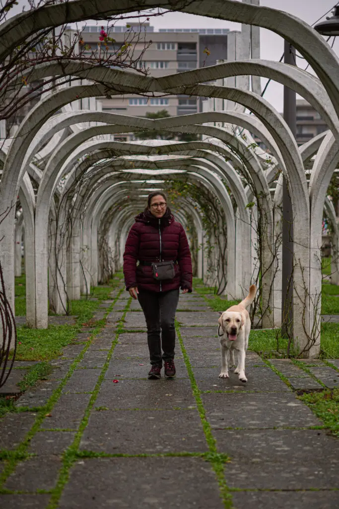 Séance d'éducation et nutrition à Lyon avec Chiens en Herbe.