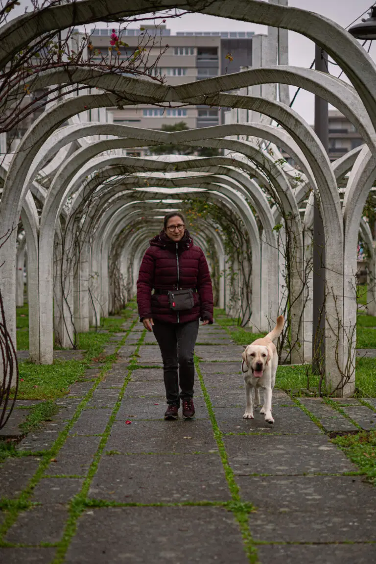 Séance d'éducation et nutrition à Lyon avec Chiens en Herbe.