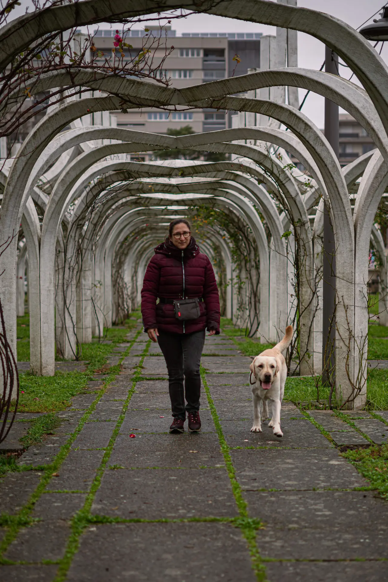 Séance d'éducation et nutrition à Lyon avec Chiens en Herbe.