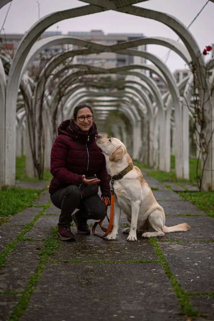 Éducation canine à Caluire et Lyon