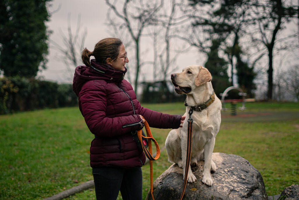 Séance d'éducation et nutrition à Lyon avec Chiens en Herbe.