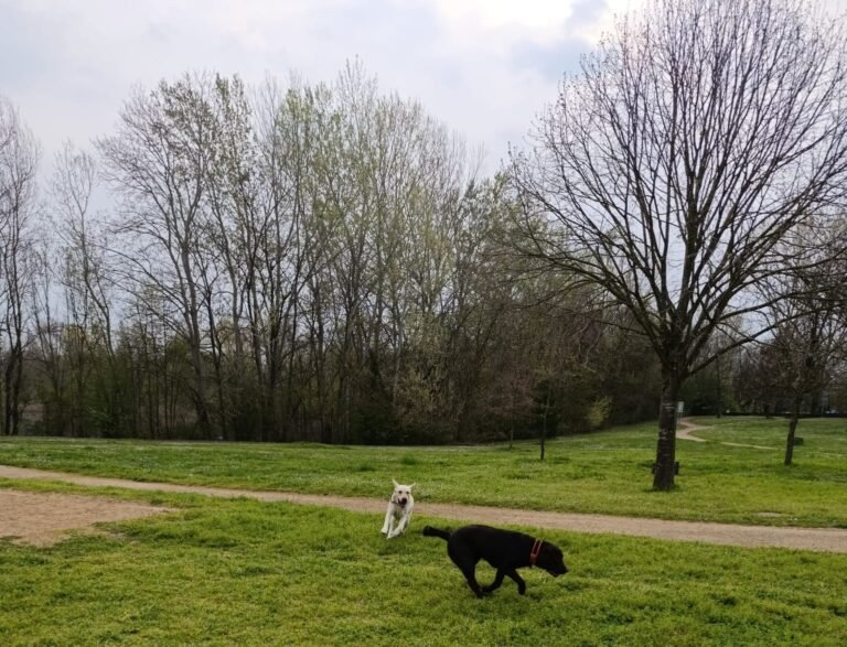 éducation positive avis confiance rappel