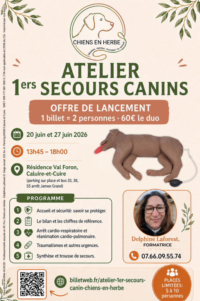 Affiche de la formation premiers secours canins de Chiens en Herbe à Caluire-et-Cuire près de Lyon