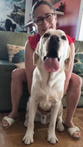 Démonstration de la méthode de Heimlich et des compressions abdominales sur un chien.