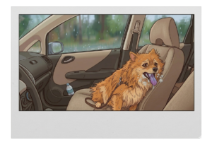 coup de chaleur chien