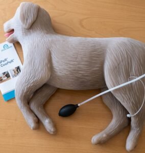 mannequin 1er secours canin