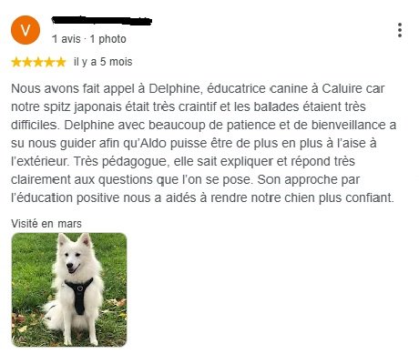 Capture d'écran d'un avis Google 5 étoiles de Véronique et son Spitz japonais Aldo, clients en éducation canine positive à Caluire-et-Cuire